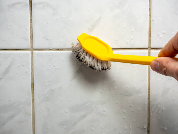 Best Best Mold Removal Companies  in Middletown, PA