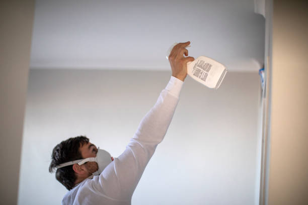 Best Residential Mold Removal  in Middletown, PA
