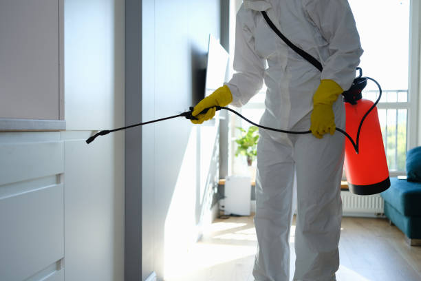 Best Certified Mold Removal  in Middletown, PA