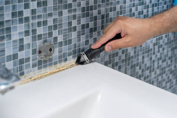 Reliable Middletown, PA Mold Removal Solutions