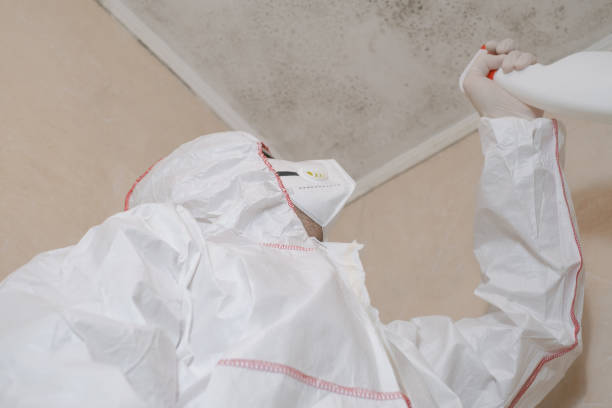 Mold Removal Process in Middletown, PA