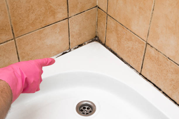 Best Fast Mold Removal  in Middletown, PA